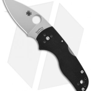 Spyderco Lil' Native Lockback Knife (2.5" Satin) C230MBGP