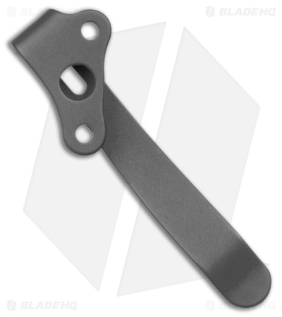 lynch-nw-demco-standard-right-carry-titanium-pocket-clip-sandwashed-bhq173962-td-side.jpg