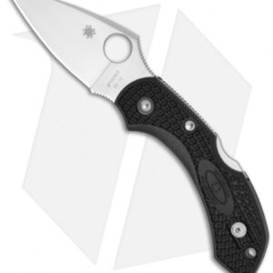 Spyderco Dragonfly 2 Knife Black FRN (2.25" Satin) C28PBK2